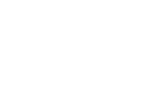 AAAIMX Logo